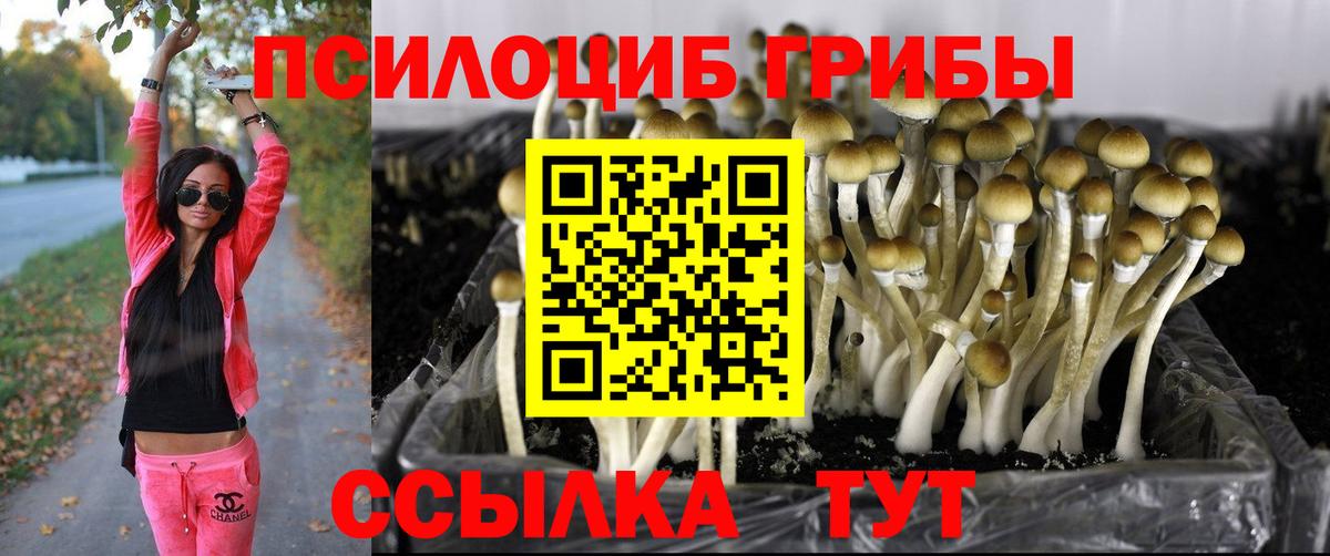 Кореновск  Псилоцибиновые грибы ЛСД  Вход с VPN 
