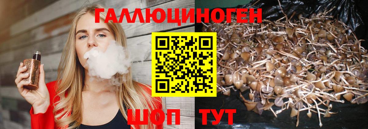 Псилоцибиновые грибы MAGIC MUSHROOMS Кореновск